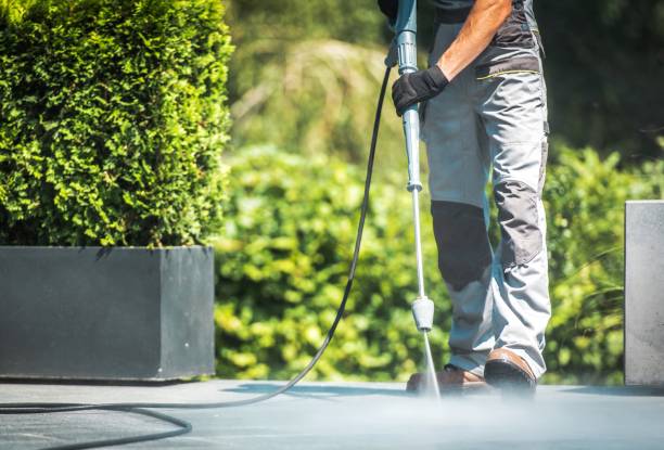 Best Spring Cleaning  in Alto, TX